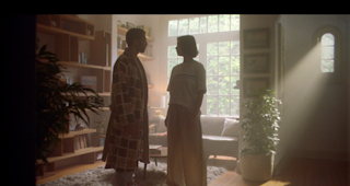 Zillow - "Love Is In The Air" (Director's Cut) - Fig Agency - Daniel Wolfe - Love Song - Music Supervision