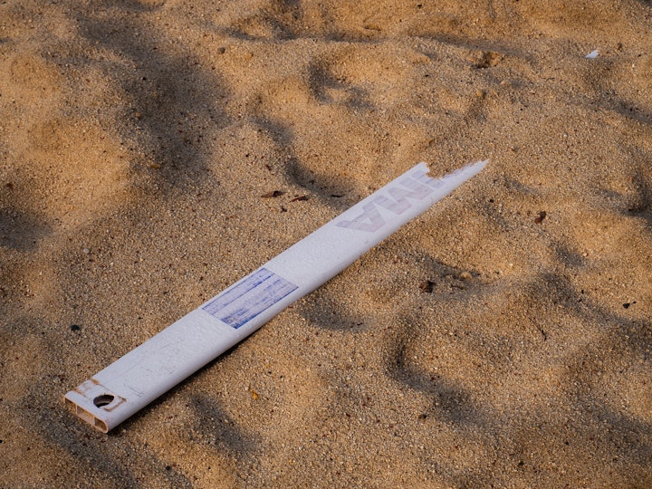 Un morceau de haie enterré dans le sable de la fosse de saut en longueur