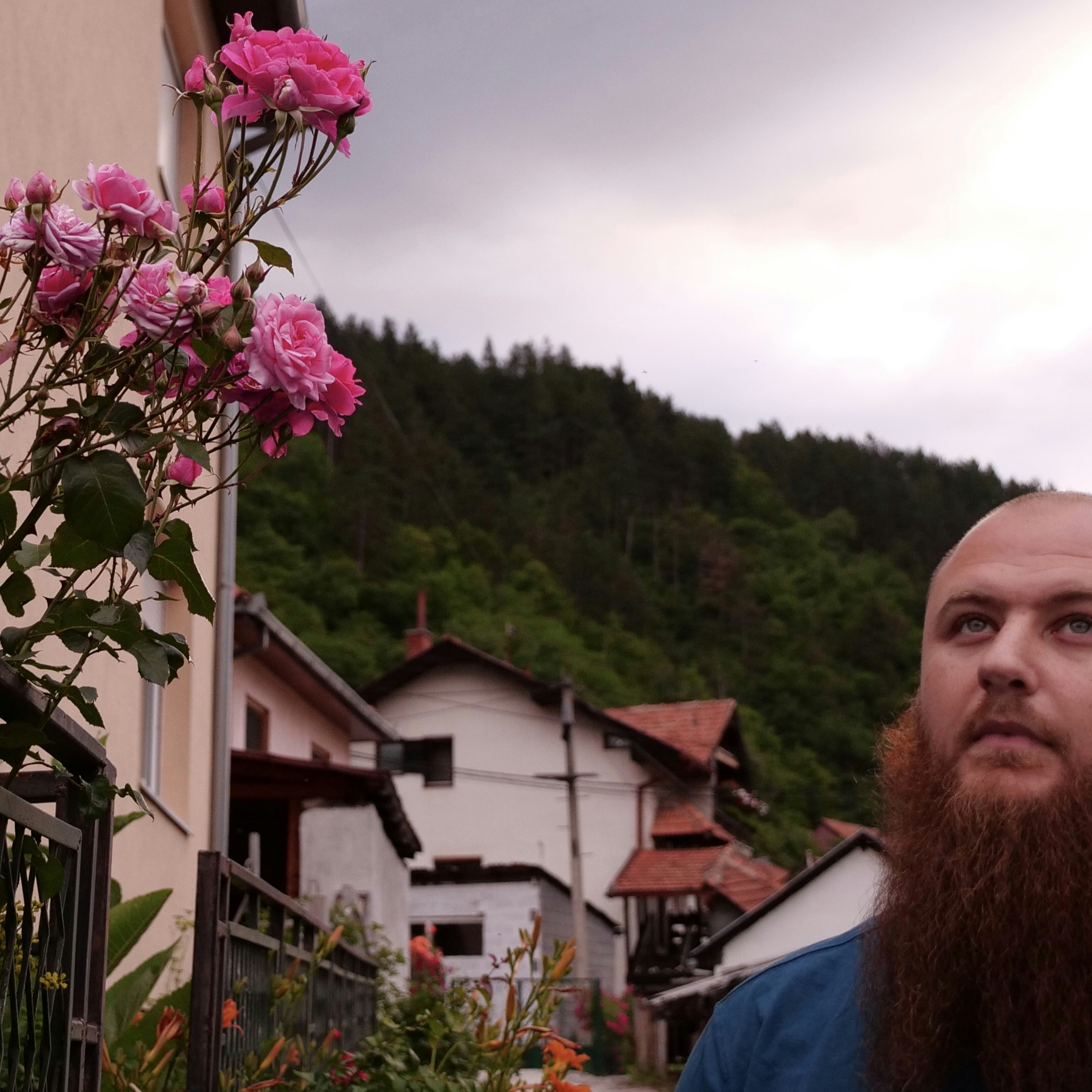 Edis smelling his neighbour's roses Edis smelling his neighbour's roses