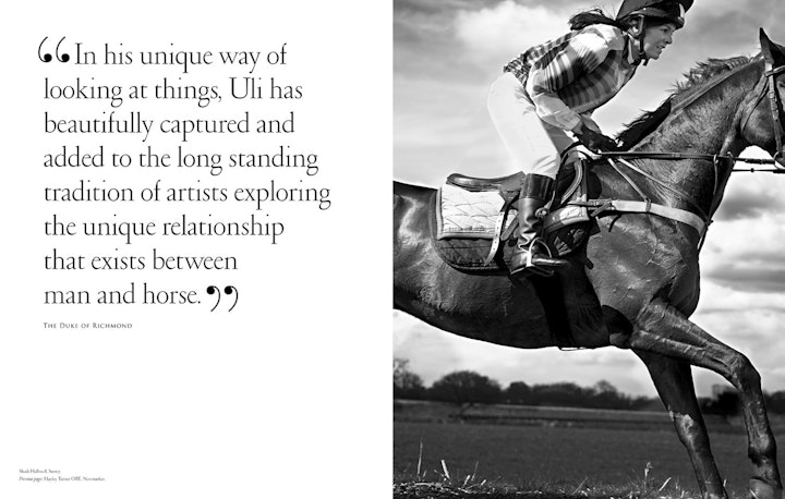 Published Book - The Allure Of Horses