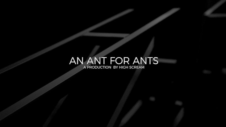 An Ant For Ants Ibiza