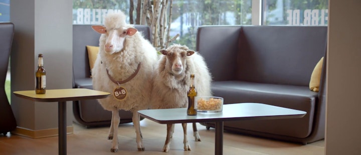 B&B HOTELS - MERYL SHEEP