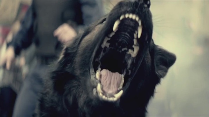 Birds Of Tokyo - Lanterns