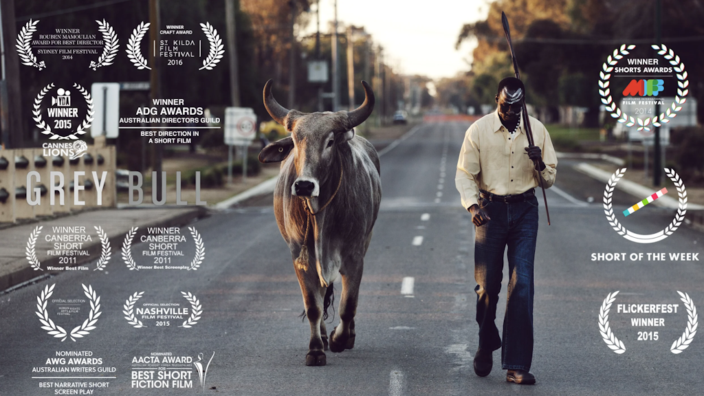 Grey Bull Short Film