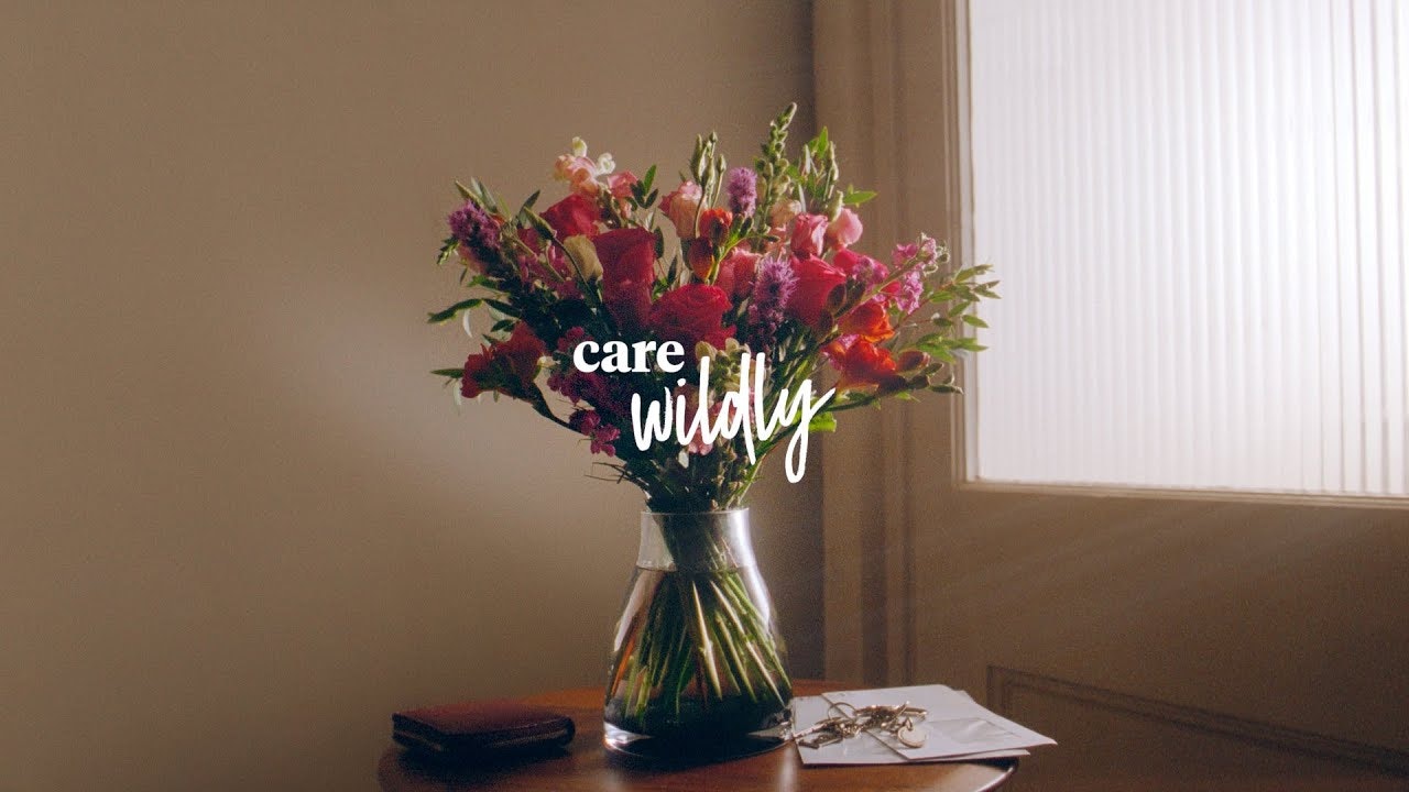 Care Wildly - Bloom & Wild
