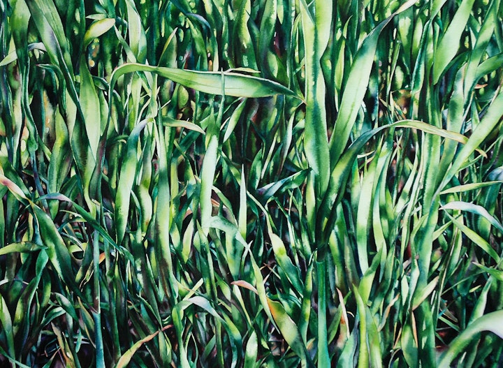 "Grass' Watercolour