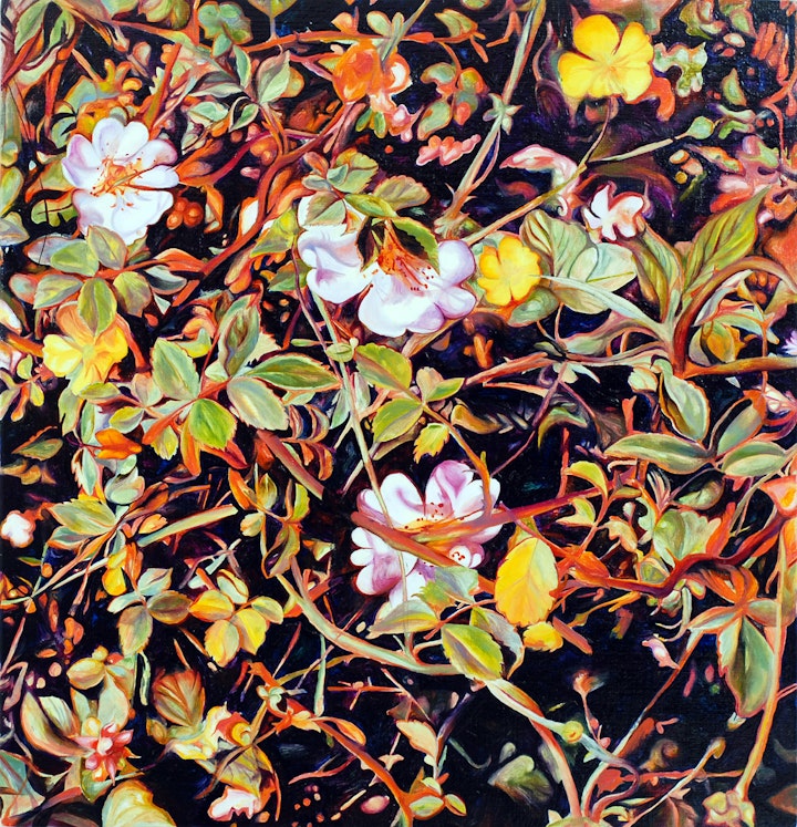 'Sleeping Beauty 1'
Oil