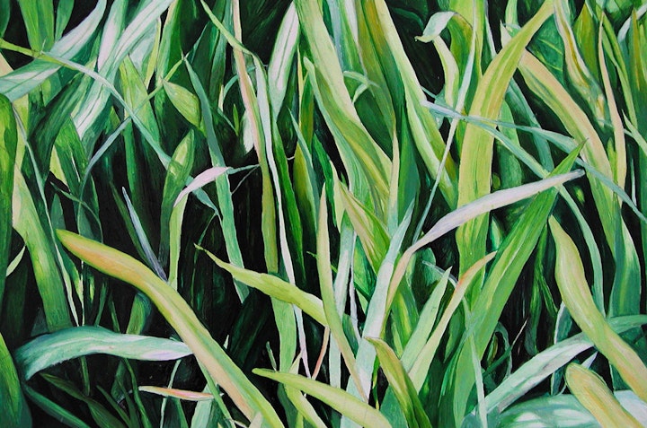 'Grass 2'
Oil