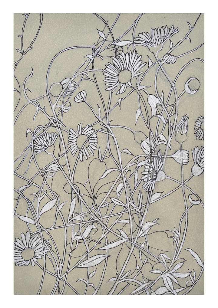 'Daisies'
A3 Giclee print on Platinum Etching
