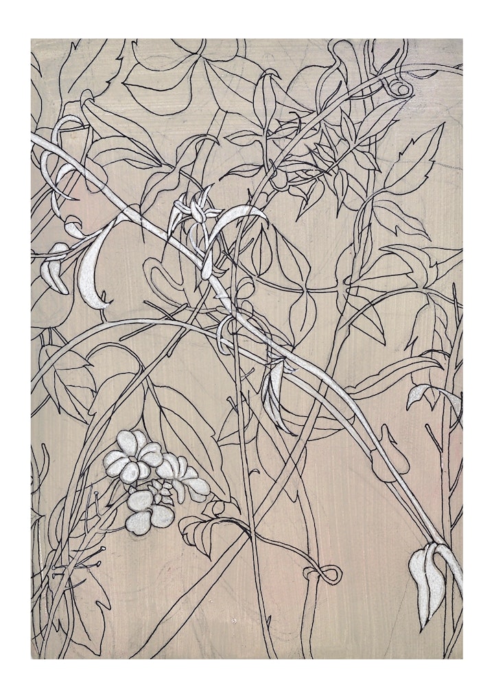 'Clematis'
A3 Giclee print on platinum etching paper.