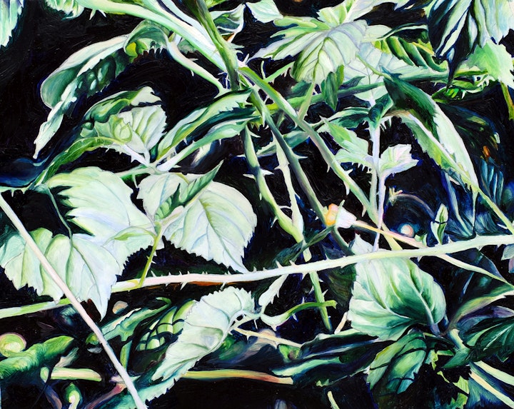 'Brambles'
Oil on board