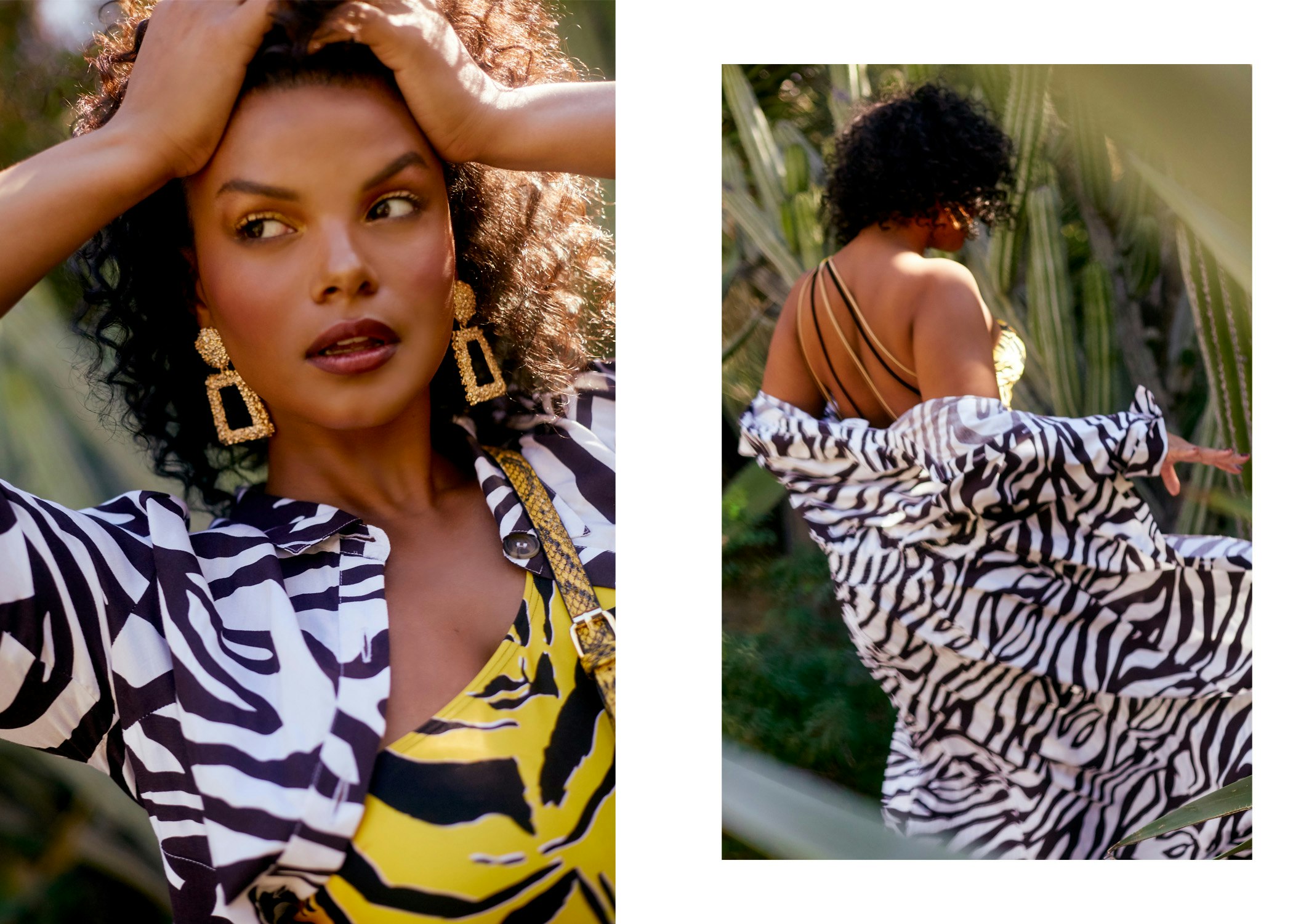 tropical_web_006 -