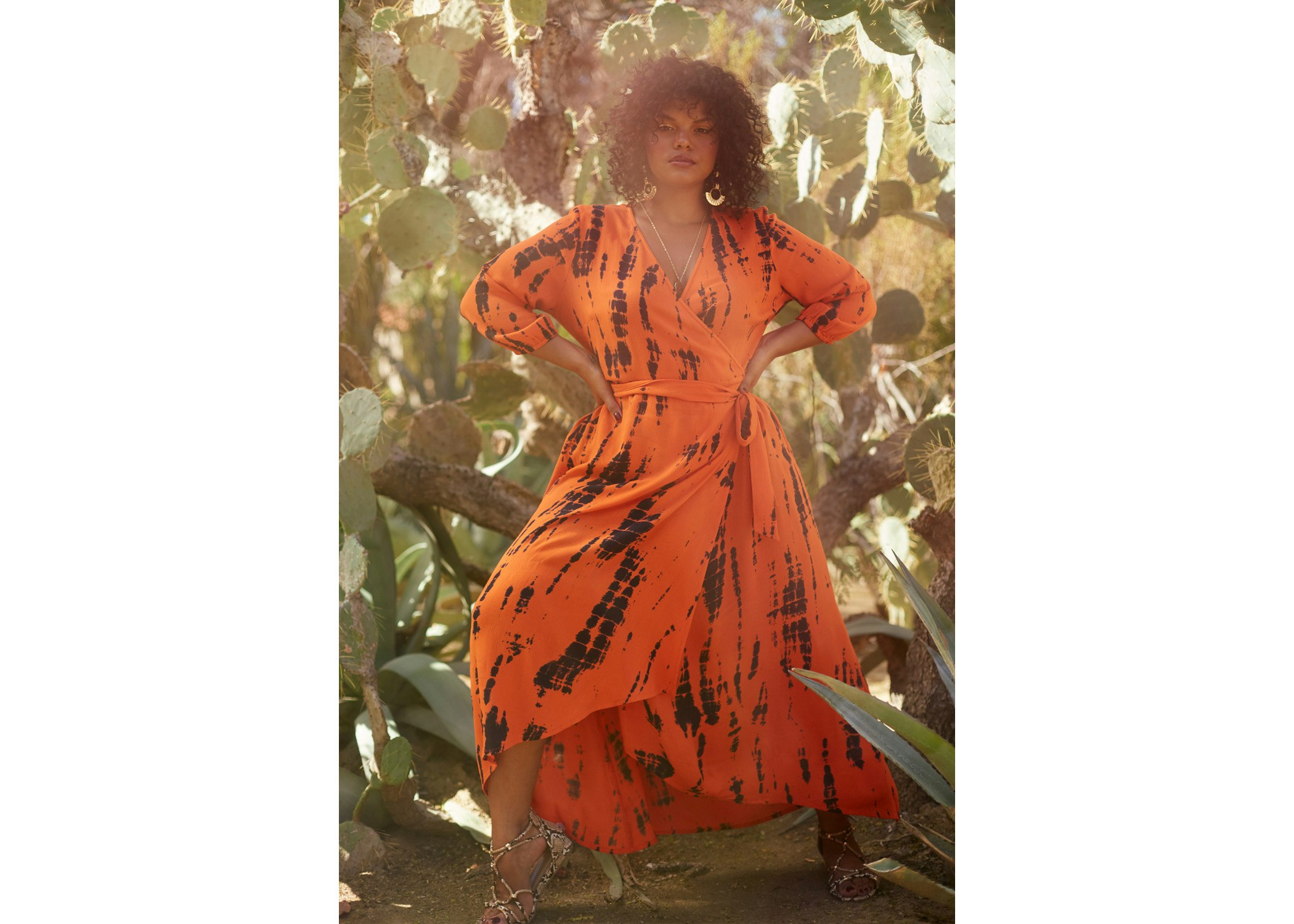 tropical_web_008 -