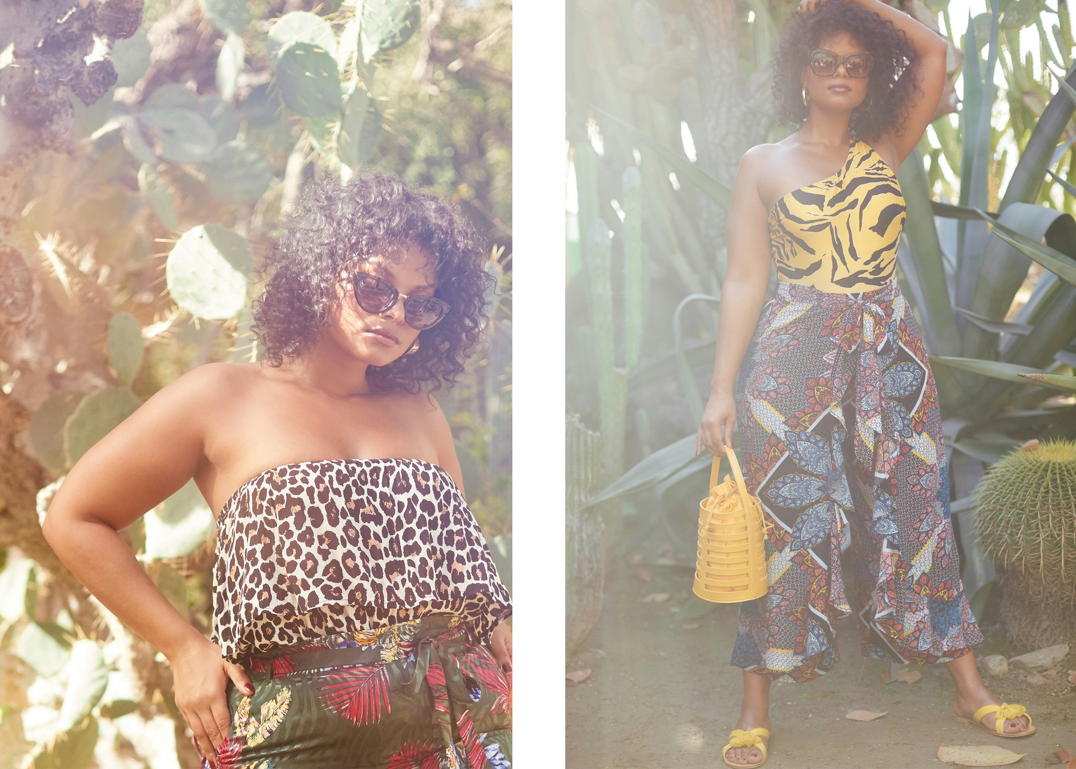 tropical_web_005 -