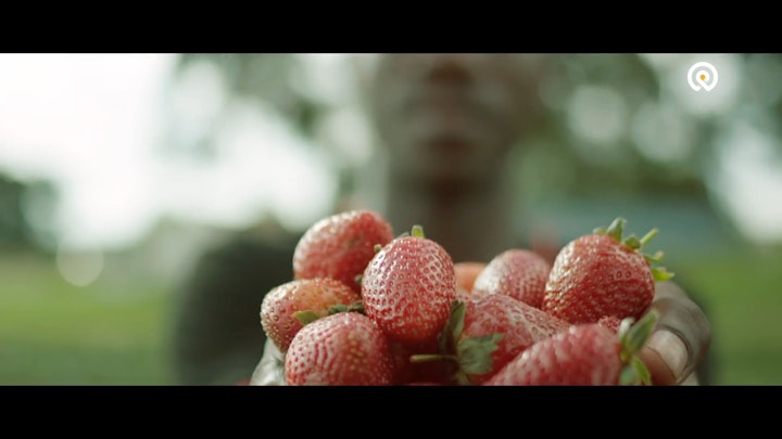 CANDANDO_Strawberries