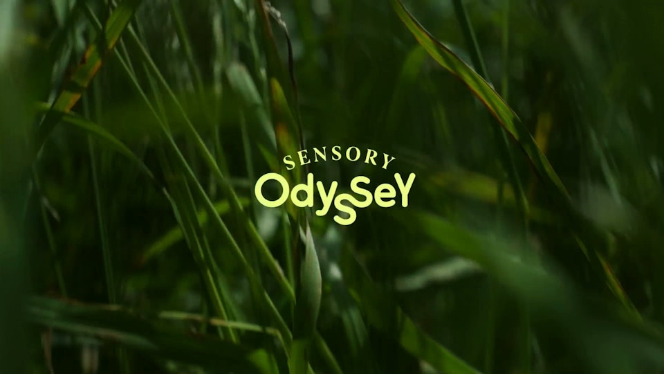 Sensory Odyssey