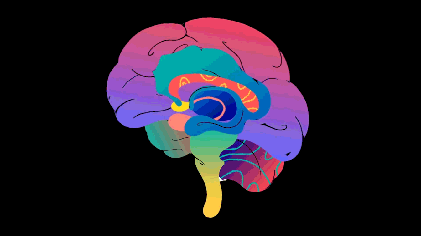 Colorful brain animation