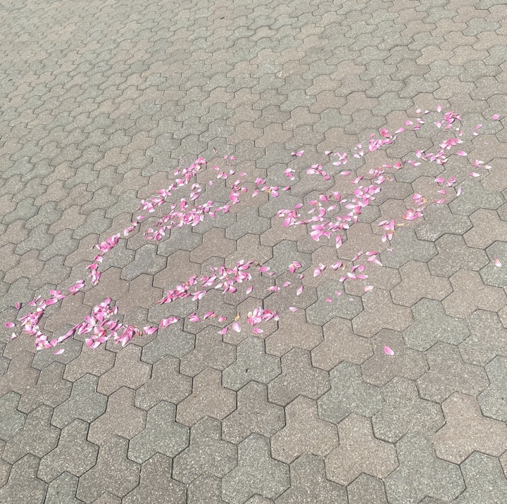 James McKenna - Alive Pink Petals full