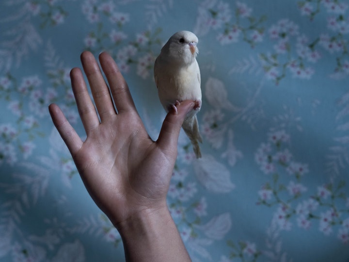 # The Landscape is blind to the silence we weave