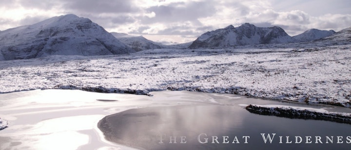 The Great Wilderness