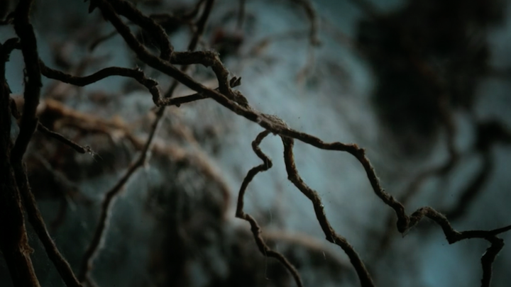 Super/Natural 'Strange Relations' Timelapses