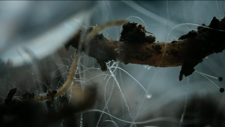 Super/Natural 'Strange Relations' Timelapses