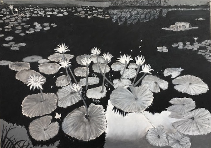 Photo Translations - <i>Water Lilies, after Eugène Atget's Nymphèa</i>.
 27.75 x 39 in. Oil stick, 2018.