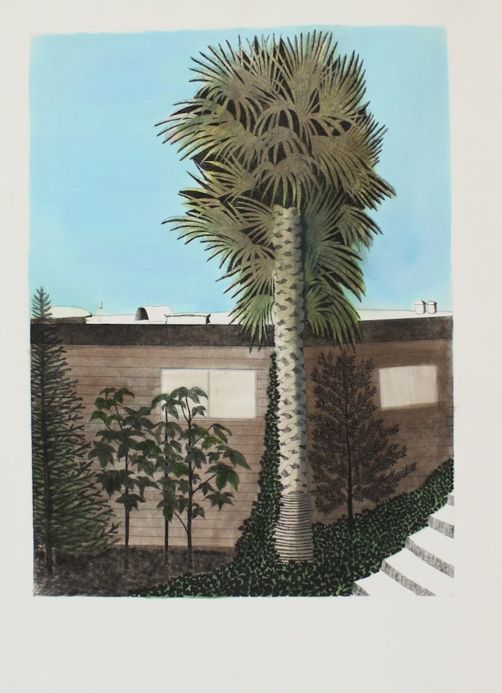 Early Etchings - <i>Santa Cruz Palm</i>, 30 x 22 in. Hand-tinted etching.