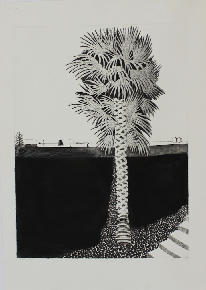 Early Etchings - <i>Lone Palm</i>, 30 x 22 in. Hand-tinted etching.
