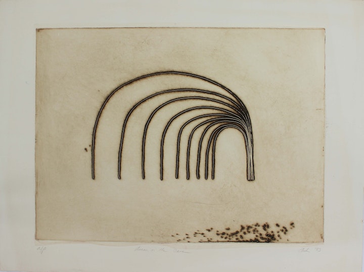 Text, Context, Texture, Architexture - <i>Arcos (Caves).</i> 22 x 30 in. Etching, 1983.