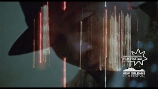 My Home is a Dog That Lives Inside Me