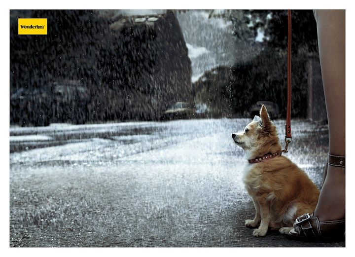 Wonderbra Dog-web1080x782_U_100 -