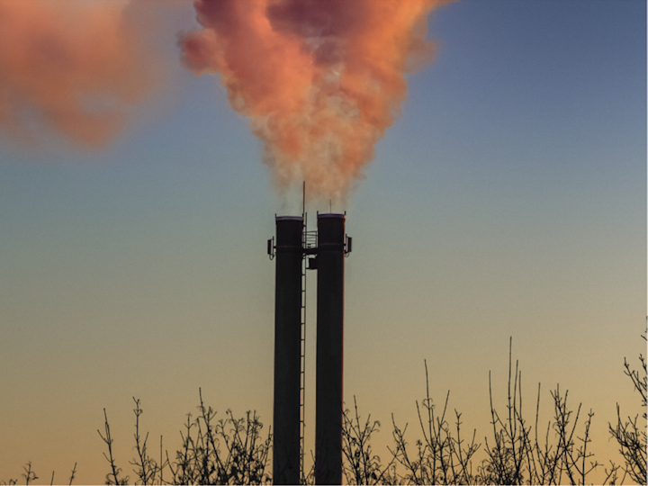 Greenpeace: ONE THING LEADS TO ANOTHER