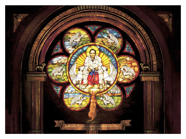 SPCA Thailand PetAdoption Worshipped Walkies -