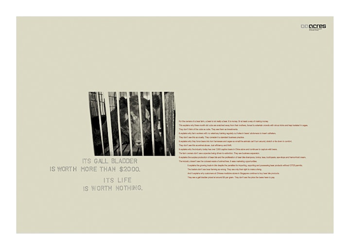 Acres Bear Bile GallBladder -