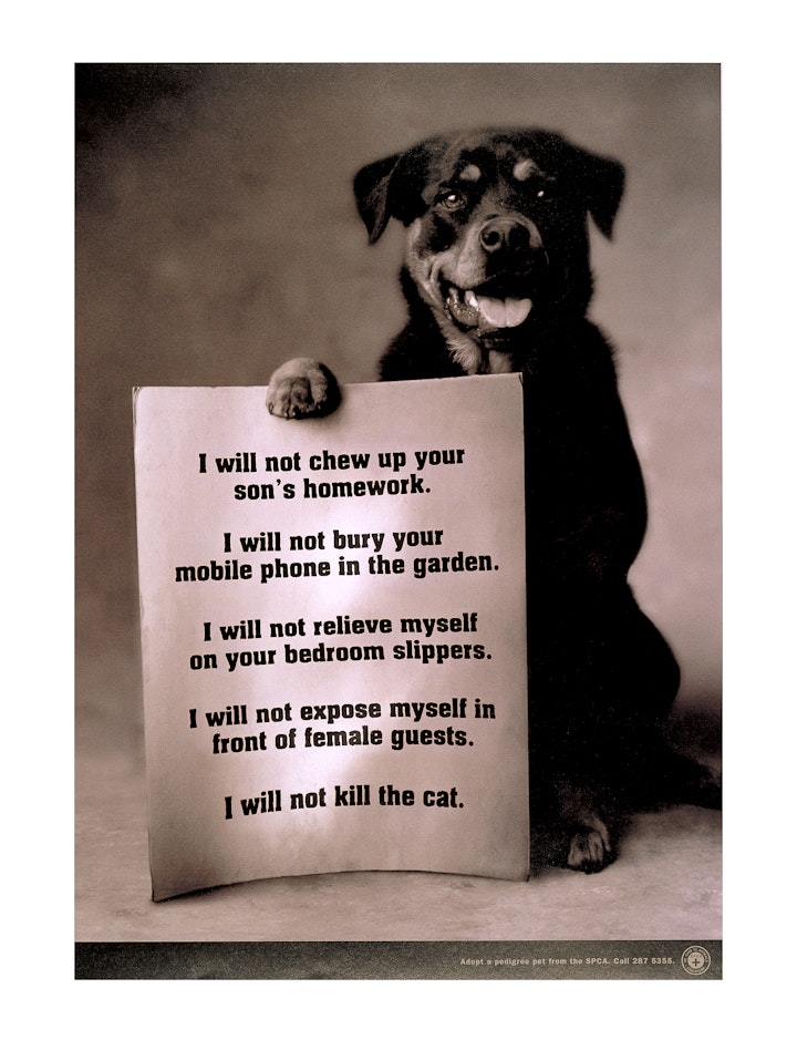 SPCA Singapore PetAdoption Pledges Dog2 -