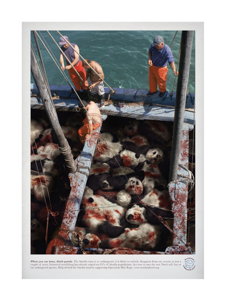 SeaShepherd TunaCampaign Print2-web1080x1440_U_100 -