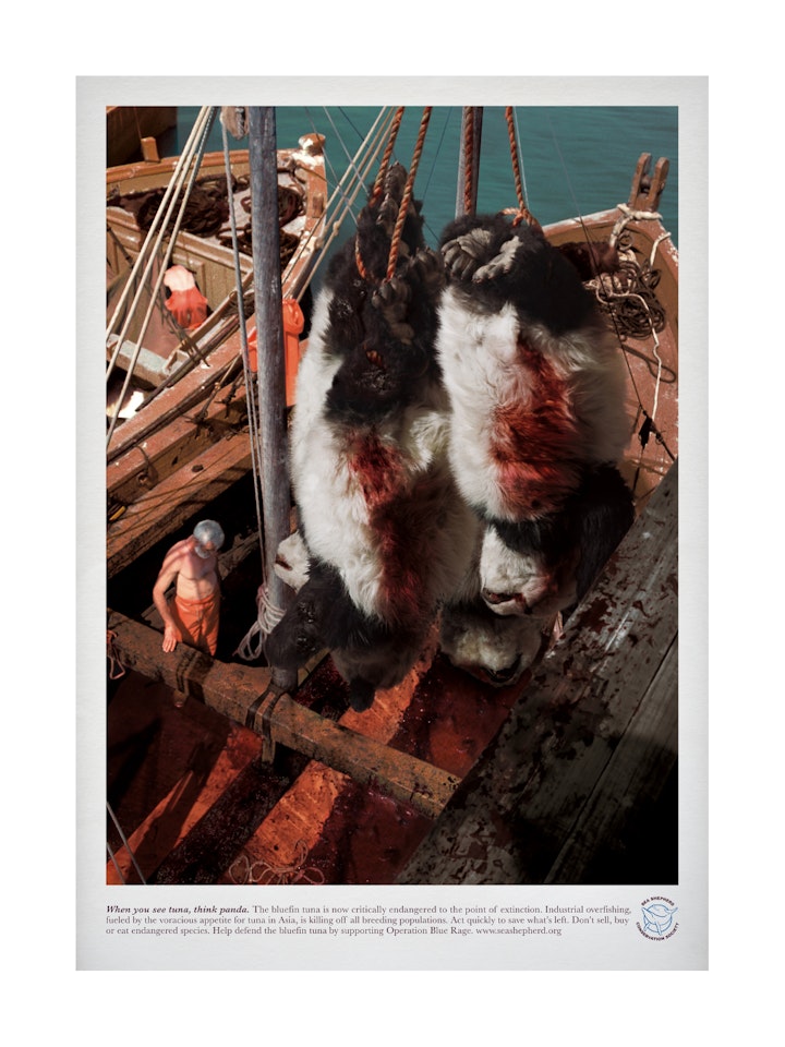 SeaShepherd TunaCampaign Print3-web1080x1440_U_100 - 