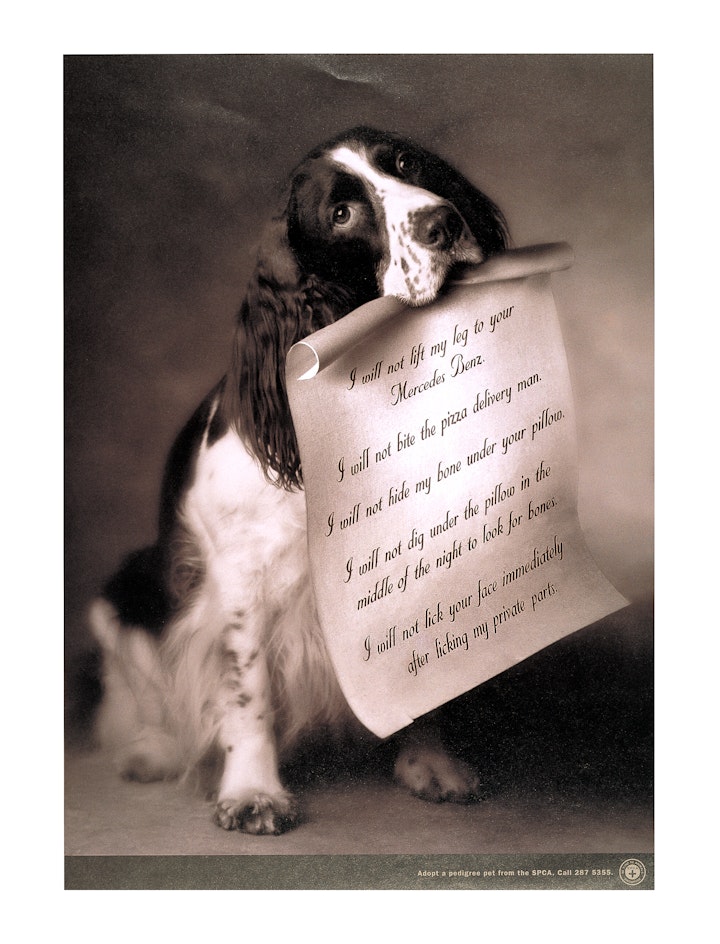 SPCA Singapore PetAdoption Pledges Dog1 -