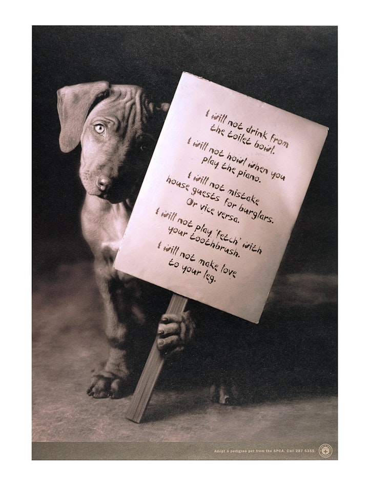 SPCA Singapore PetAdoption Pledges Dog3 -