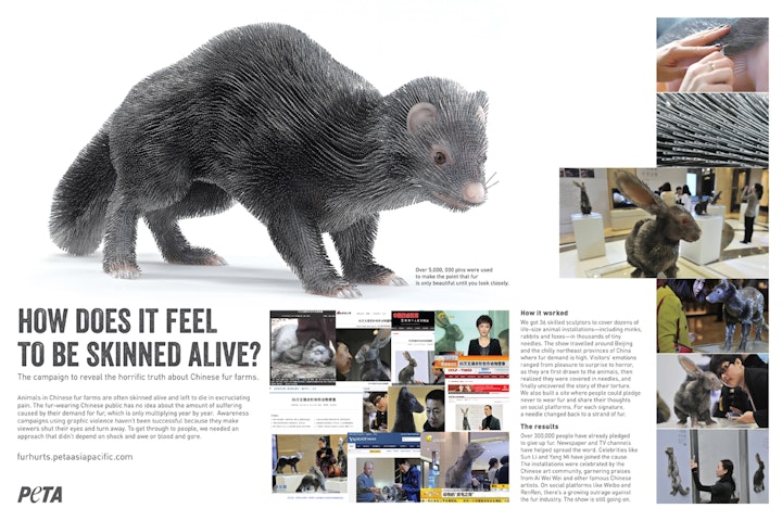 PETA FurHurts Integrated Board -