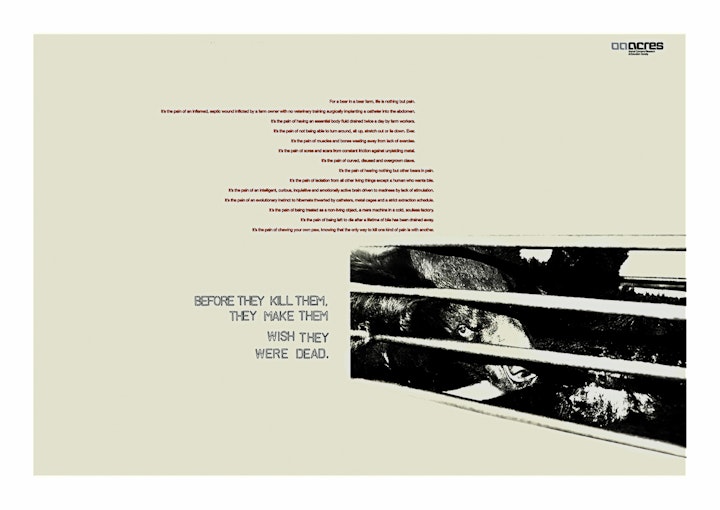 Acres Bear Bile Dead -