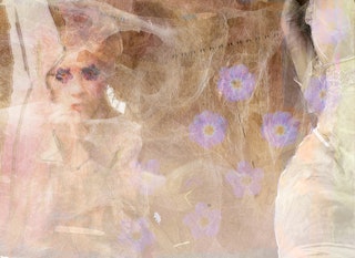 Forget-Me-Not