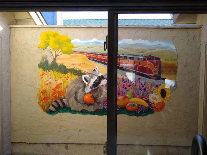 What she sees over her kitchen sink.