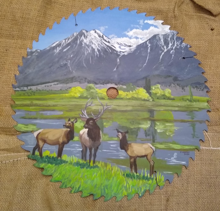 Yup, it's darn-tootin' elk.