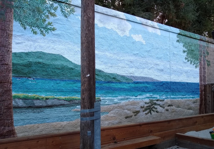 The tree trunks on each side provide the natural break to the neighbor's (unpainted) part of the wall.