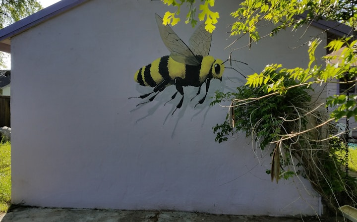 Loving the wisteria, wishing it was in bloom. The client hopes to encourage the bees that she keeps in her garden.