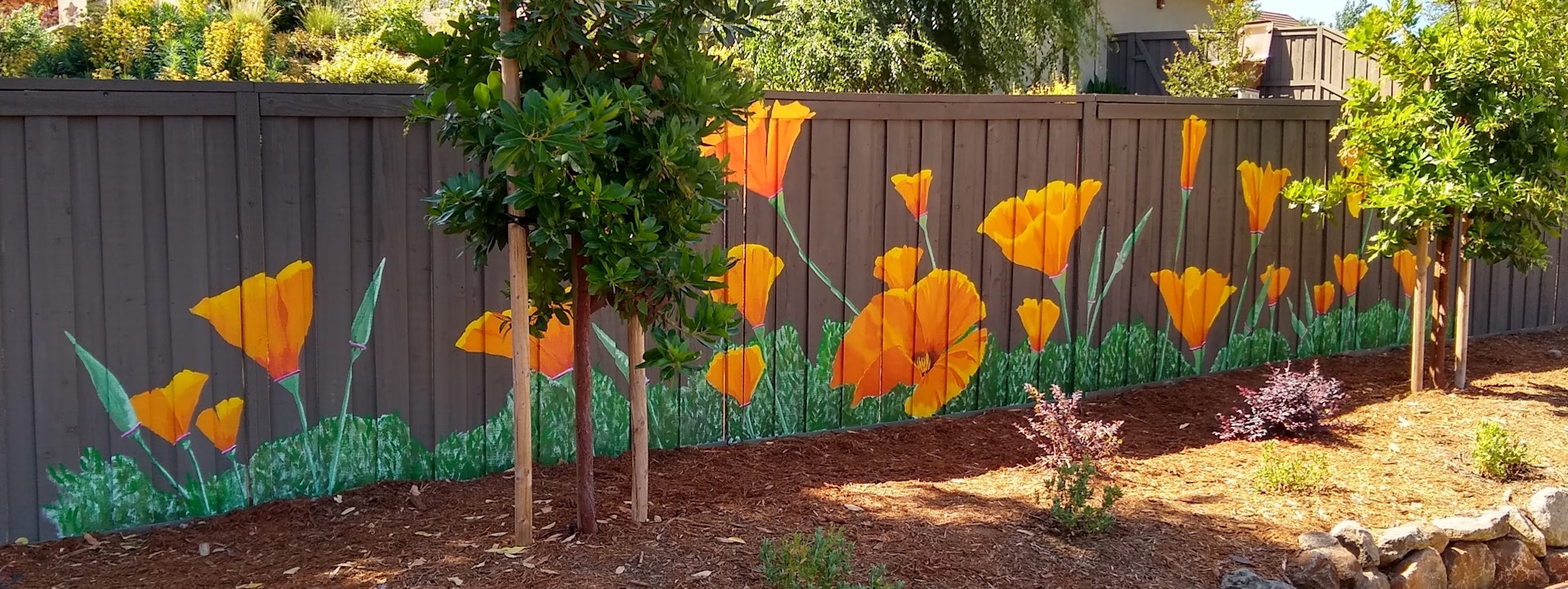 Rocklin garden wall poppies