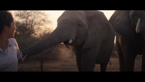 Amarula - World Elephant Day - Keystone