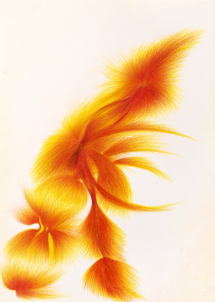 Energy Drawings - Energies 2, 2021, Watercolour pencil, 15x21cm, 5.9x8.3 inches. Photo by Ellie Walmsley. Held in private collection.